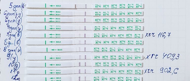 Динамика Хгч после переноса