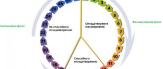 Месячный цикл 3дня вместо 5