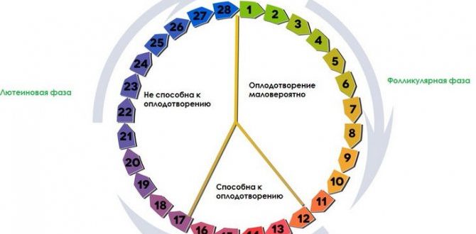 Месячный цикл 3дня вместо 5