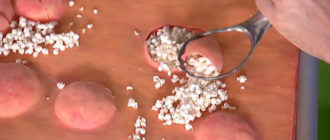 Можно ли избавиться от контагиозного моллюска навсегда?