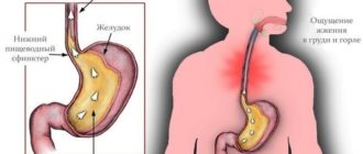 Чувствую пищевод и желудок