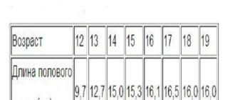 Может ли уменьшится размер члена?