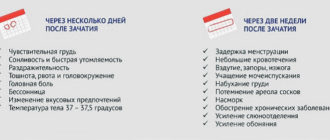 Возможна ли беременность через 1,5 месяца после зачатия