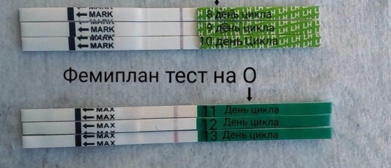 Возможна ли беременность на 12 день цикла?