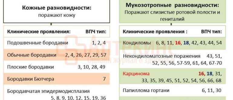 ВПЧ 16 и 18 тип