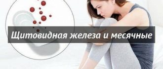 Месячные и щитовидная железа