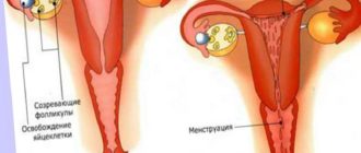 Может ли быть задержка из за начала половой жизни?