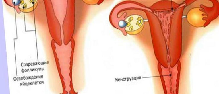 Может ли быть задержка из за начала половой жизни?