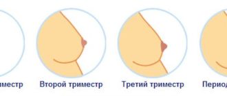 Набухли соски после секса