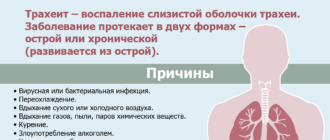 Уже год не могу избавиться от першения и зуда в трахее