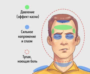 Напряженность в во лбу