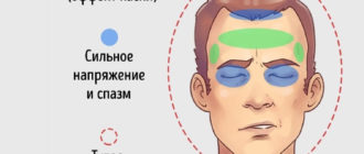 Напряженность в во лбу