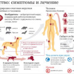 Можно ли забеременеть при сужении цервикального канала