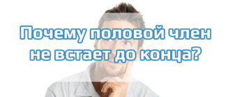 Член не встает до конца