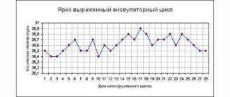 Выделения при ановуляторном цикле