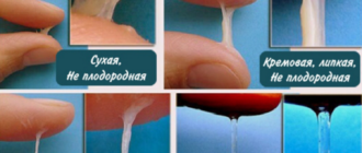 Выделения, смазка, беременность