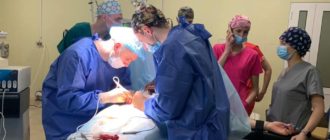 Возможно ли родить после пересадки почки