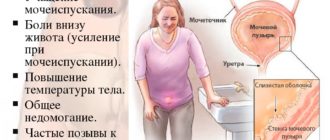 Частые позывы в туалет, тянет низ живота