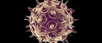 Varicella zoster virus g