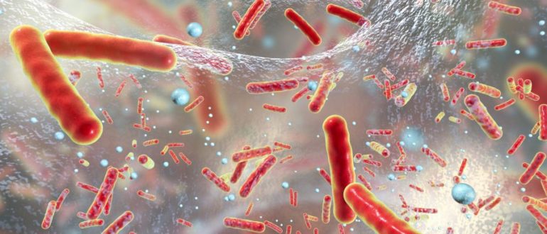 Микоплазма и гарднерелла