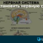 Частое мочеиспускание, коричневые выделения, а после темно-красные, сонливость