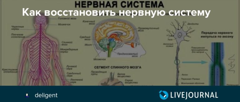 Восстановление нервной системы после депрессии