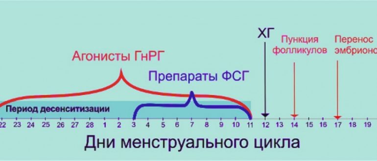 В протокол ЭКО с температурой