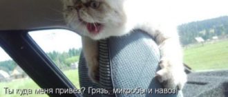 Что может быть, если потрогали там