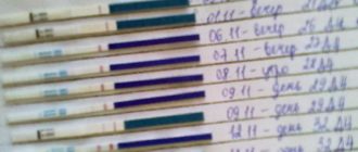 Две недели не заканчиваются месячные