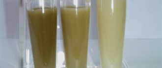 Молозиво темно-зеленого цвета