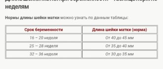 Длина шейки матки на 29 неделе беременности
