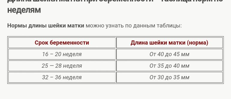 Норме недели. Длина шейки матки при беременности в 12 недель норма. Длина шейки матки на 12 неделе беременности норма. Длина шейки на 12 неделе беременности норма. Норма длины шейки матки при беременности 13 недель.