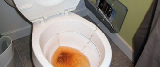 Моча с унитаза попала на половые органы