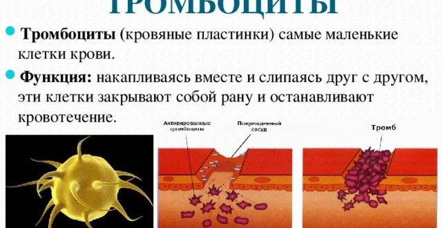 Восстановятся ли тромбоциты