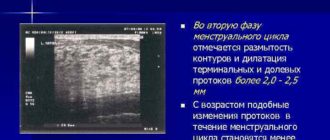 Млечные протоки