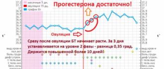 Держится температура больше 10 дней