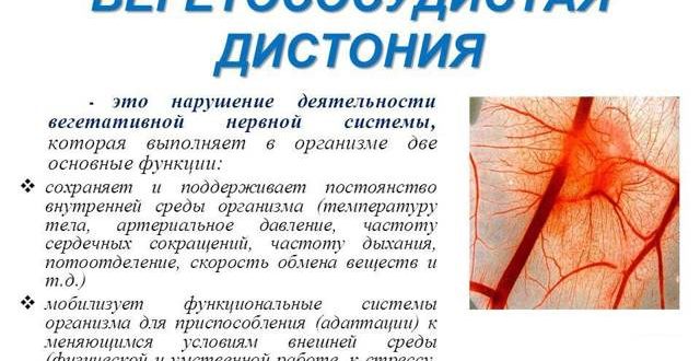 Вегетососудистая дистония и рибоксин