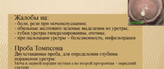 Выделение из полового члена