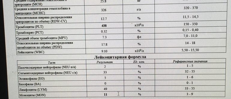 Через какой период можно сдавать анализы кала после приема антибиотиков?