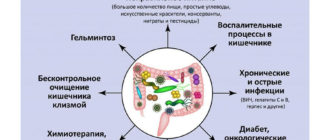 Дисбактериоз кишечника и отсутствие кишечной палочки