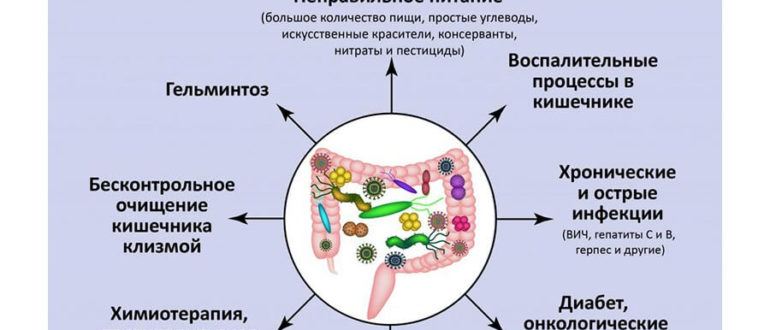 Дисбактериоз кишечника и отсутствие кишечной палочки