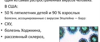 Вирус Эпштейна барр