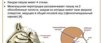 В любной пазухе, в клиновидной пазухе жидкость