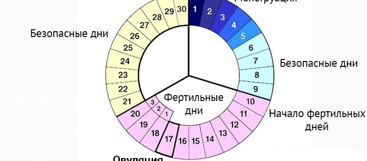 Менструация длится 8 день