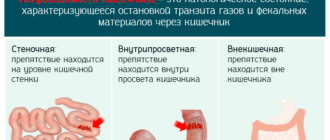 Эли-жкт-тест12