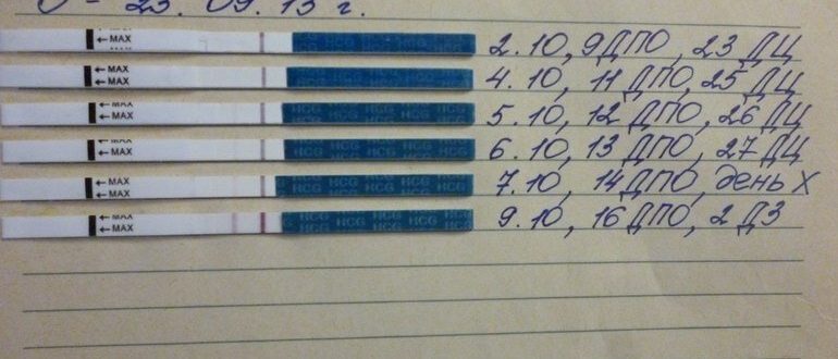 Можно ли делать тест на беременность до задержки