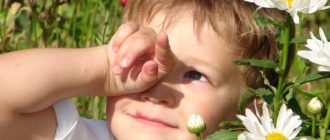 На улице закрывает глазки в солнечный день