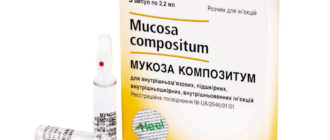 Мукоза композитум