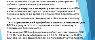 Вирус папилломы человека при беременности