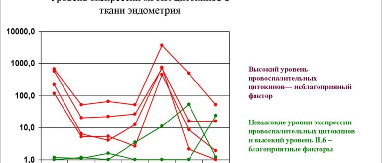 Эндометрий при Эко